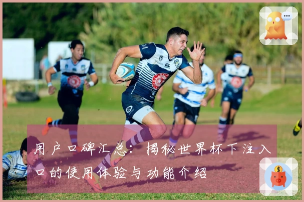 用户口碑汇总：揭秘世界杯下注入口的使用体验与功能介绍