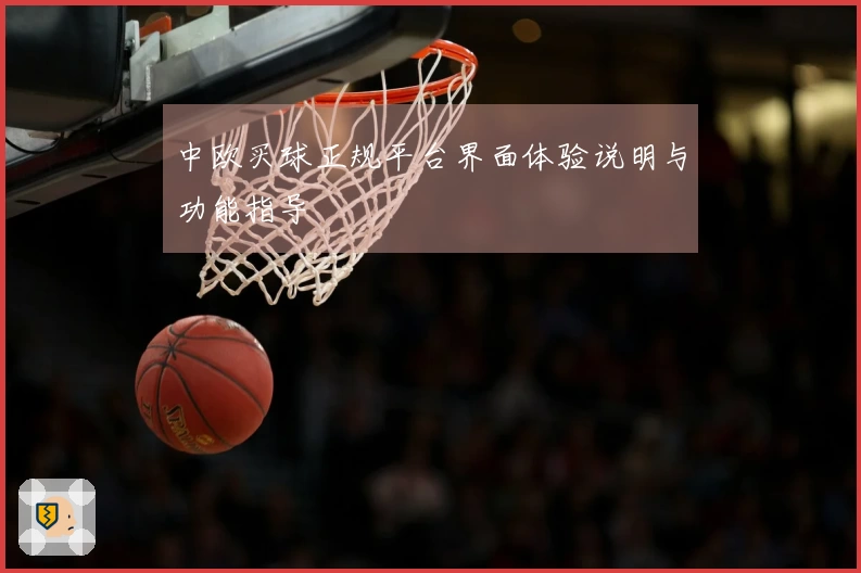中欧买球正规平台界面体验说明与功能指导