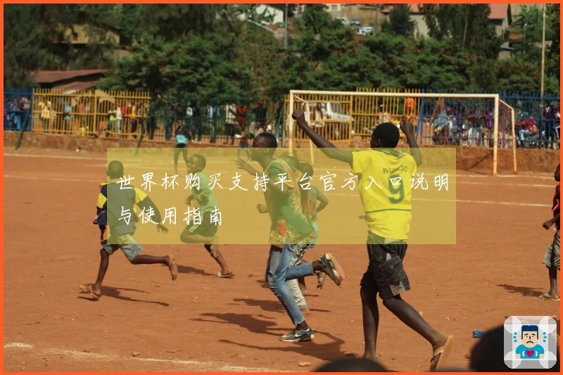 世界杯购买支持平台官方入口说明与使用指南