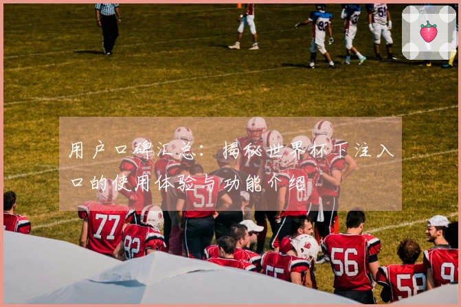 用户口碑汇总：揭秘世界杯下注入口的使用体验与功能介绍