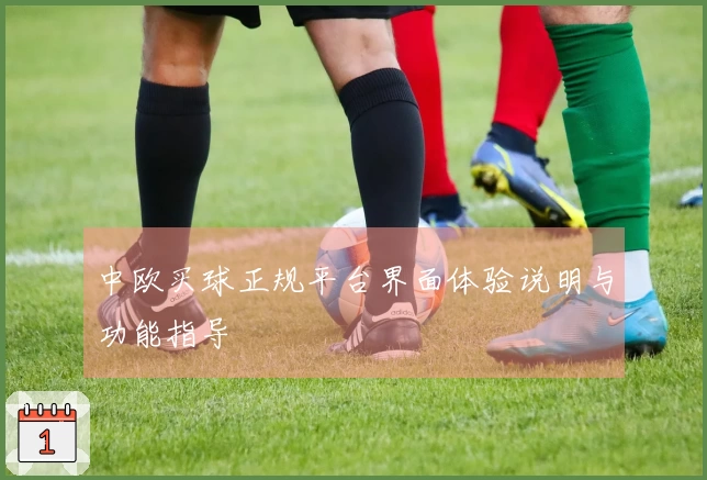 中欧买球正规平台界面体验说明与功能指导