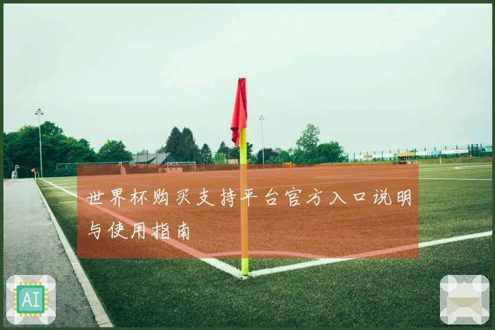 世界杯购买支持平台官方入口说明与使用指南